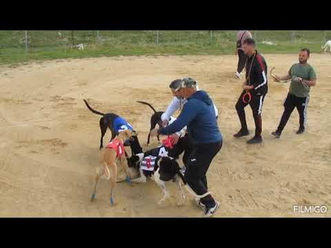 Segunda carrera de Liga de Recta Andaluza 2026. Guadalcación (Cádiz)