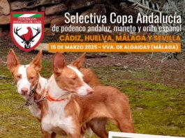 Abierta la inscripción para la II Selectiva de la Copa de Andalucía de Podencos 2025 - Federación Andaluza de Caza