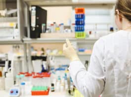 Aumento del 5% en la inversión en investigación biotecnológica, alcanzando los 260 millones