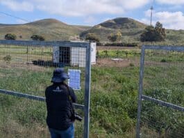 El Gobierno andaluz detiene la construcción ilegal en 21 parcelas de terreno rústico e inundable en Jerez