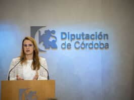 La Diputación invierte casi 500.000 euros en el Programa de Cooperación con los Ayuntamientos para dinamizar los Puntos Vuela en 2025