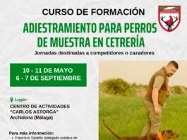 La FAC Organiza un Curso de Adiestramiento de Perros de Muestra en Cetrería