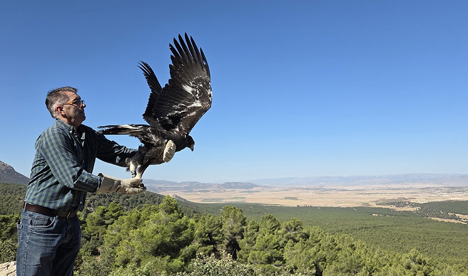 Andalucía Invertirá Más de 900.000 Euros en la Reforma del CREA de Vélez-Blanco