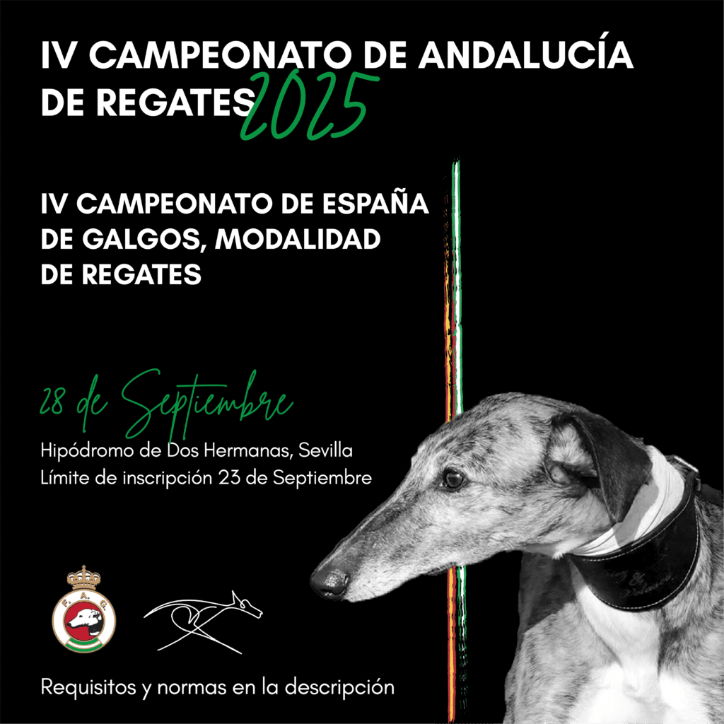IV Campeonato de Andalucía de Regatas y III Campeonato de IV Campeonato de Andalucia de Regates