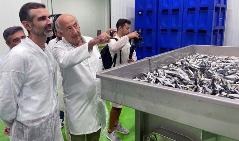 <p><strong>La Junta Fomenta el Crecimiento de la Industria Pesquera Andaluza con Ayudas Superiores a 33 Millones desde 2023</strong></p>