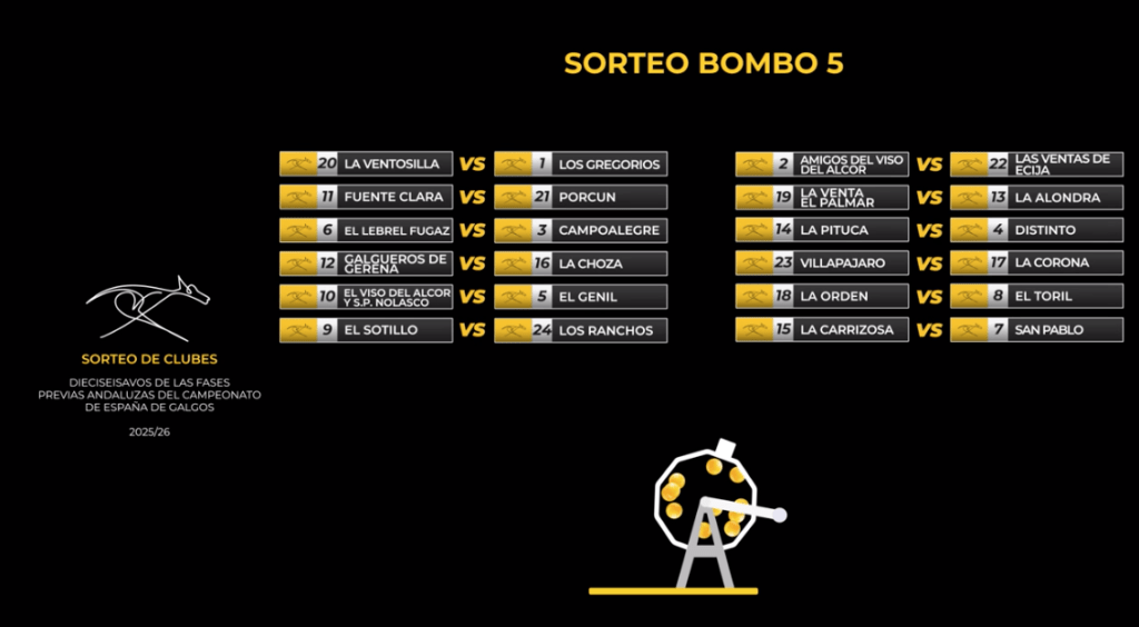 Bombo 5