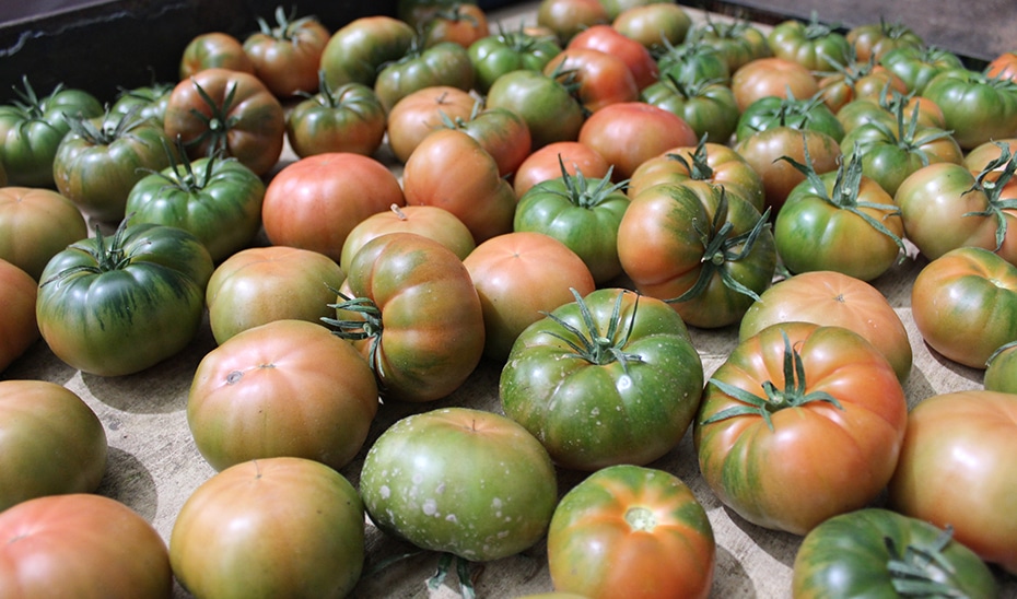 Agricultura Otorga Más de 117 Millones en Ayudas a 76 Organizaciones de Productores Hortofrutícolas 1 Agricultura Otorga Más de 117 Millones en Ayudas a 76 Organizaciones de Productores Hortofrutícolas