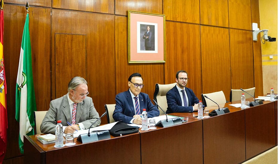 Andalucía Lidera en Financiación: La Junta Asegura Liquidez para Universidades Públicas 1 Andalucía Lidera en Financiación: La Junta Asegura Liquidez para Universidades Públicas