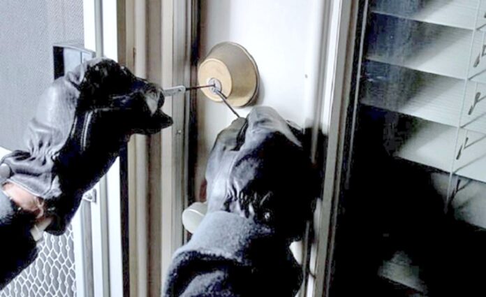 “Aumento de Robos en Cataluña, Comunidad Valenciana y Andalucía Durante Cataluña, Comunidad Valenciana y Andalucía, las regiones con más robos en la primera mitad de 2025