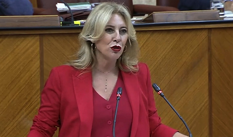 Avanza en el Parlamento la Nueva Ley del Patrimonio para Mejorar la Gestión de Bienes Públicos