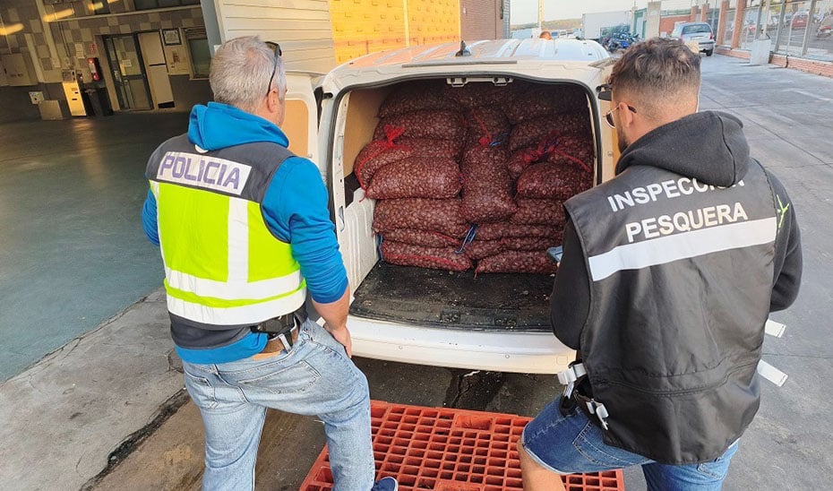 Intervención de 1.600 kilos de almeja japonesa sin garantía sanitaria Intervención de 1.600 kilos de almeja japonesa sin garantía sanitaria por la Junta y Policía Nacional