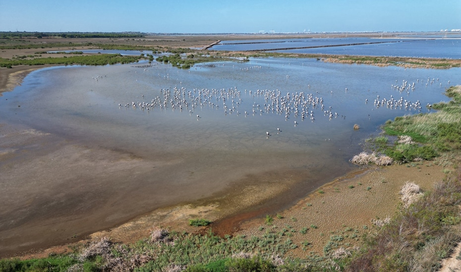 La Junta incorpora cinco humedales andaluces al Inventario Español de Zonas Húmedas