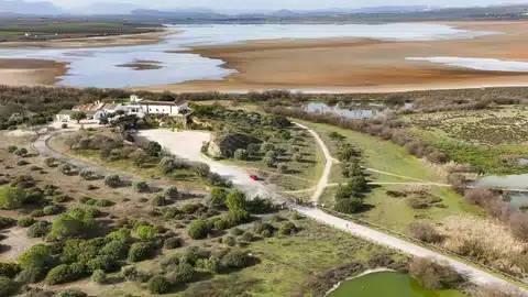 Laguna de Fuente de Piedra 05