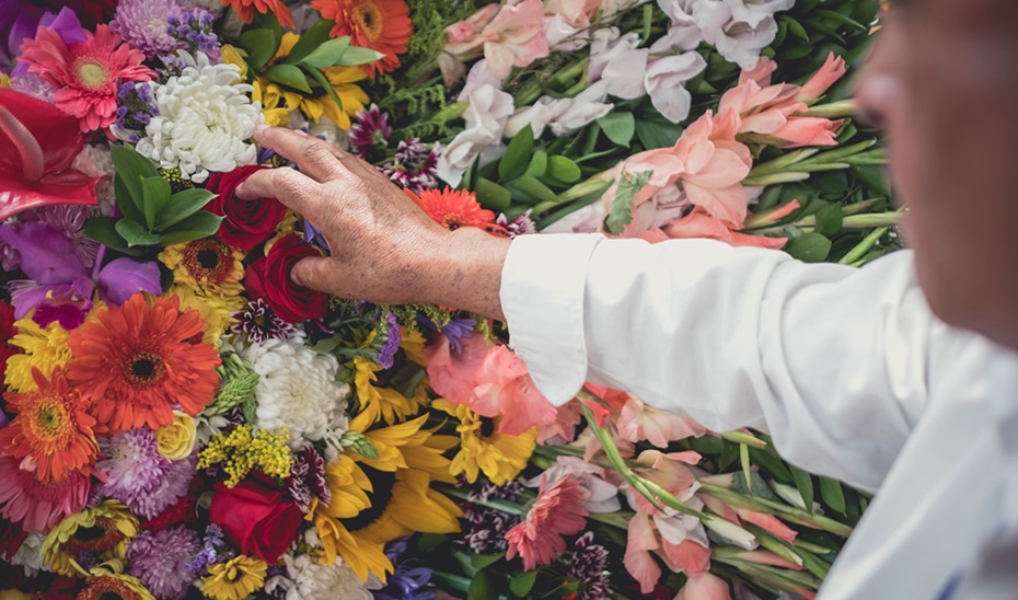 Título: "Consumo Advierte: Las Flores Compradas en Internet No Admiten Devoluciones"