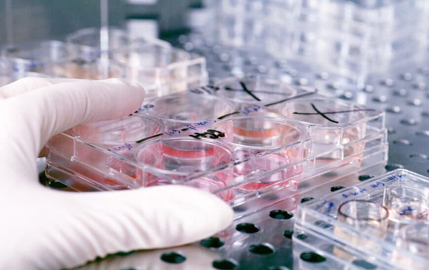 Andalucía Logra Récord Histórico en Inversión en I+D: Supera los 2.300 Millones en 2024