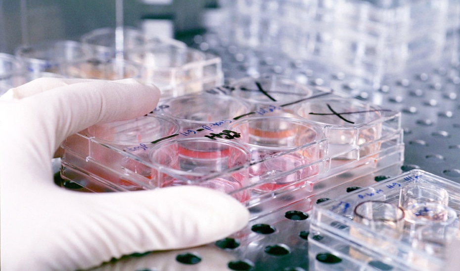 Andalucía Logra Récord Histórico en Inversión en I+D: Supera los 2.300 Millones en 2024