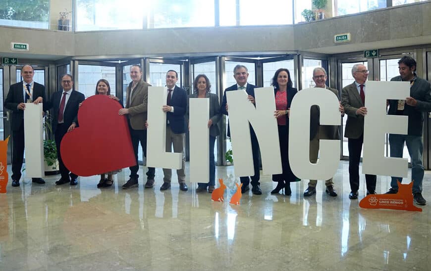 Andalucía: Pionera Mundial en la Recuperación del Lince Ibérico y la Biodiversidad