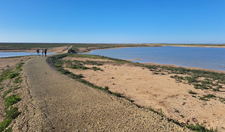 Aprobación de Nuevos Espacios en el Inventario de Humedales de Andalucía: Tres Nuevas Inclusiones