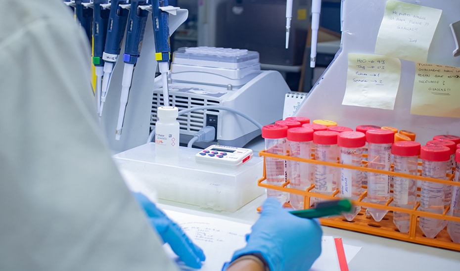 Ayudas de 800.000 Euros para el Centro de Biología del Desarrollo e Instituto de Matemáticas de la UGR