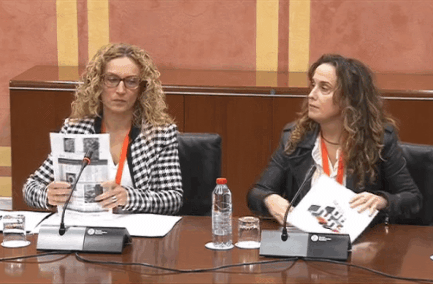 Comparecencia al Proyecto de Ley del Presupuesto de la Comunidad Autónoma de Andalucía para el año 2026