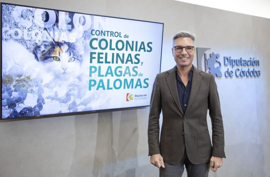 Colaboración de la Diputación de Córdoba con los Ayuntamientos para el Control de Colonias Felinas y Plagas de Palomas