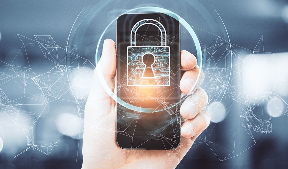 Contraseñas Sólidas, Sistemas Actualizados y Conexiones Seguras: Pilares de la Seguridad Informática