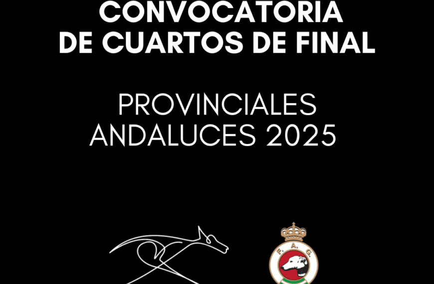 Convocatoria para Cuartos de Final - Provinciales Andaluces 2025