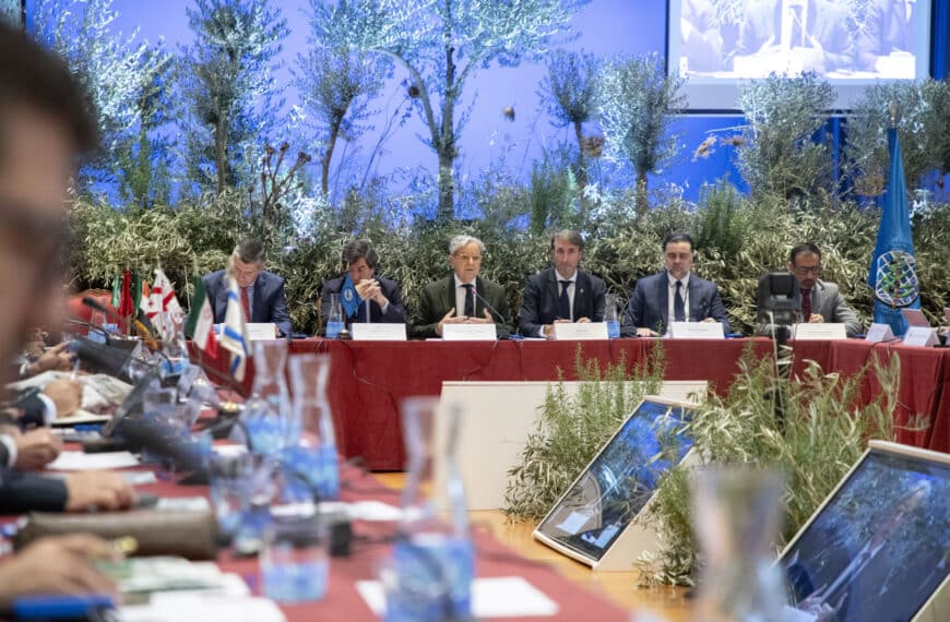 Córdoba: Capital Mundial del Olivo con la Reunión del Consejo Oleícola Internacional en el Palacio de la Merced