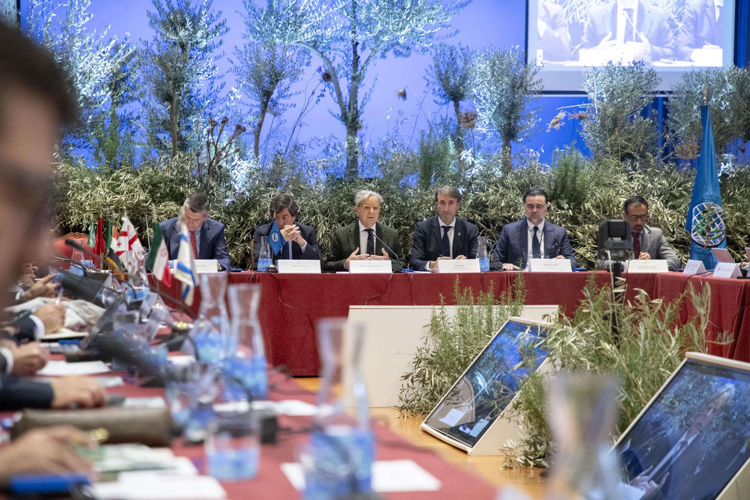 Córdoba: Capital Mundial del Olivo con la Reunión del Consejo Oleícola Internacional en el Palacio de la Merced