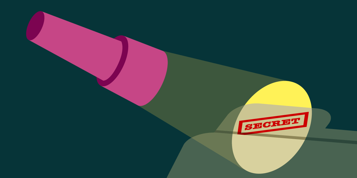 Corte de Washington Dictamina: Datos de Cámaras de Flock Safety Son de Acceso Público 1 María MR