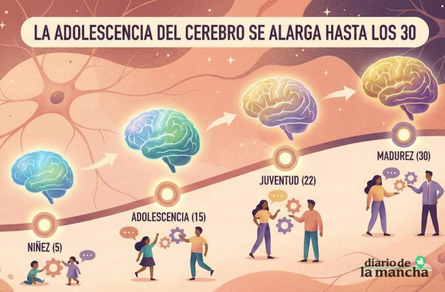 Cuatro Hitos Transformadores que Reorganizan la Vida del Cerebro