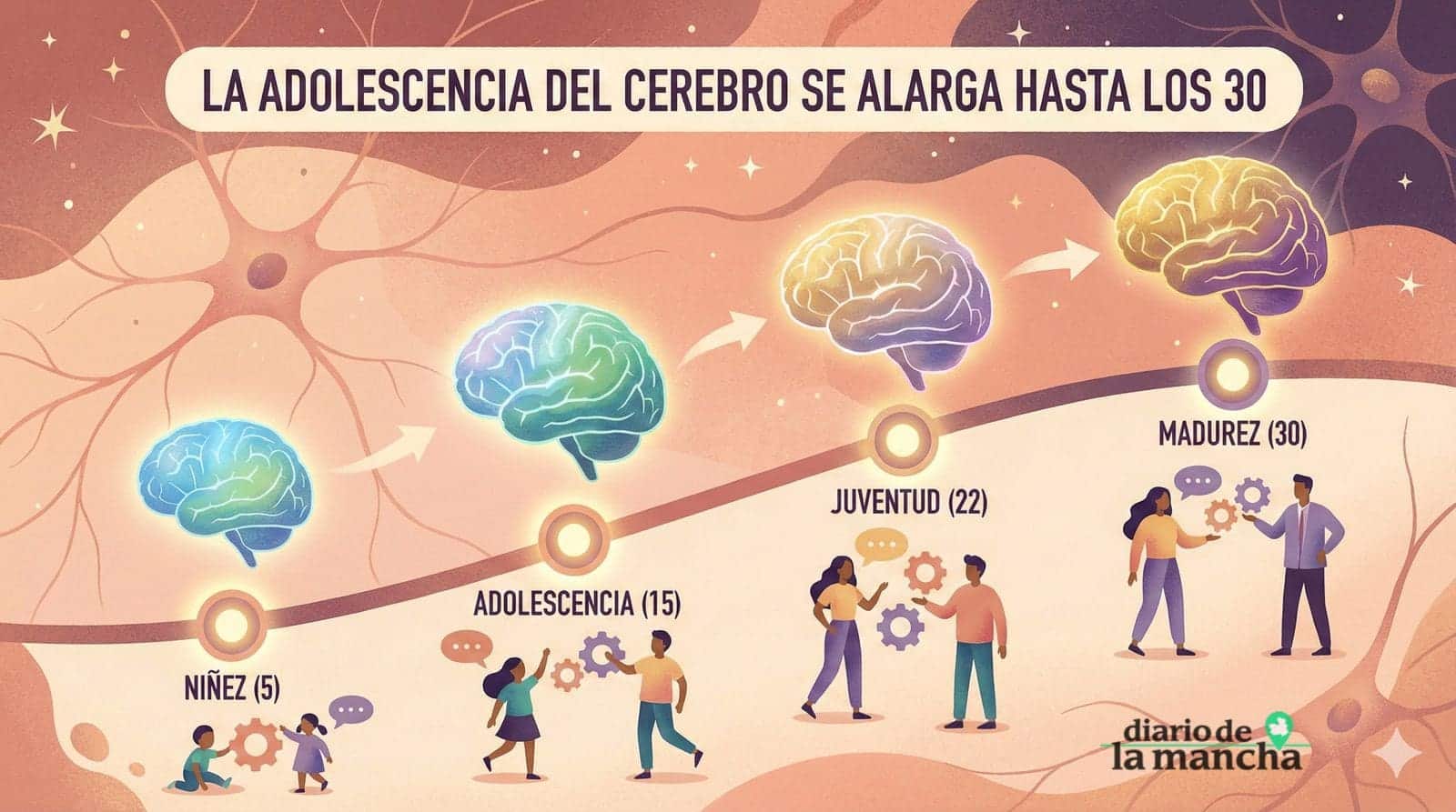 Cuatro Hitos Transformadores que Reorganizan la Vida del Cerebro