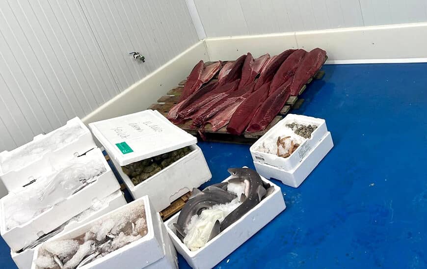 Incautación de Más de una Tonelada de Productos sin Seguridad Alimentaria por la Inspección Pesquera y Seprona