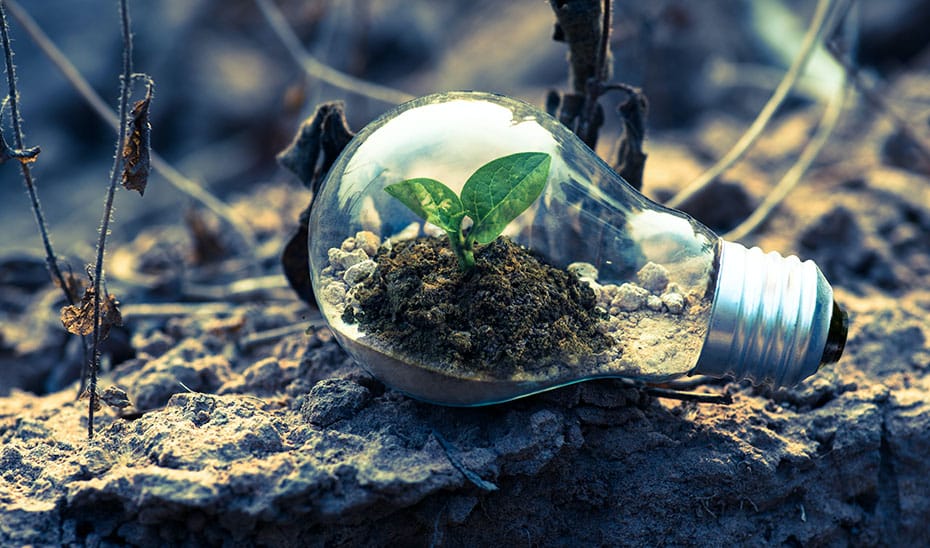 Junta Asigna Cinco Millones para Combatir el Cambio Climático en Municipios