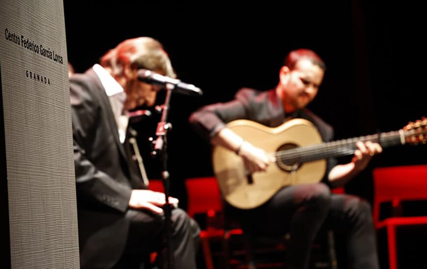 La Consejería de Cultura Lleva la Fuerza Expresiva del Arte Flamenco a los Museos en el Día del Flamenco