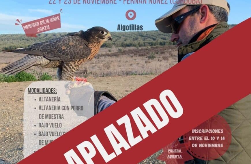 La Final del Campeonato Andaluz de Cetrería 2025 se Pospone Debido al Aumento de Casos de Gripe Aviar, Informa la Federación Andaluza de Caza