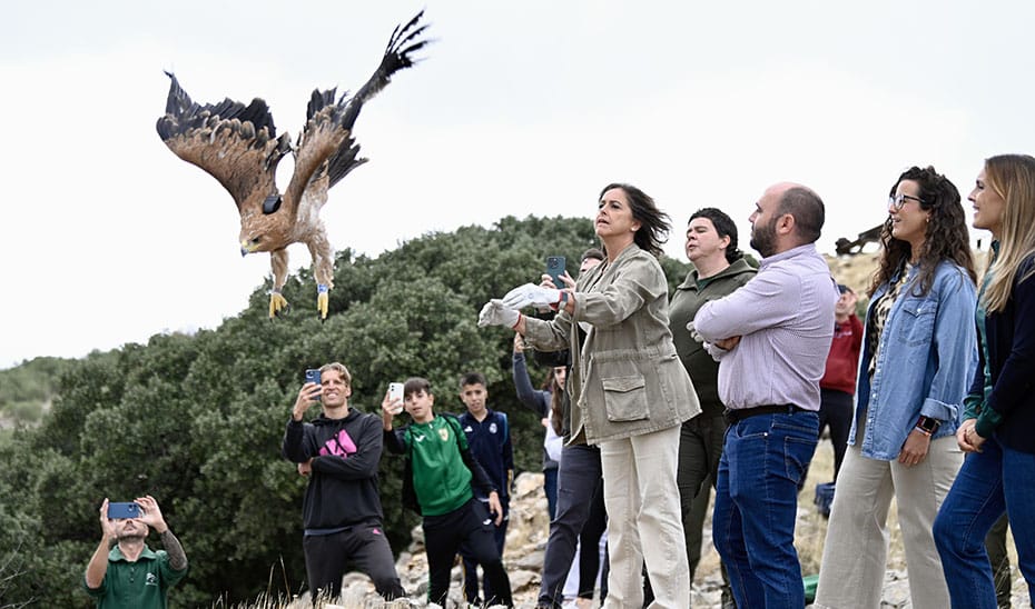 La Junta Libera a 'Jimena', un Nuevo Ejemplar de Águila Imperial en el Parque Natural de Sierra Mágina