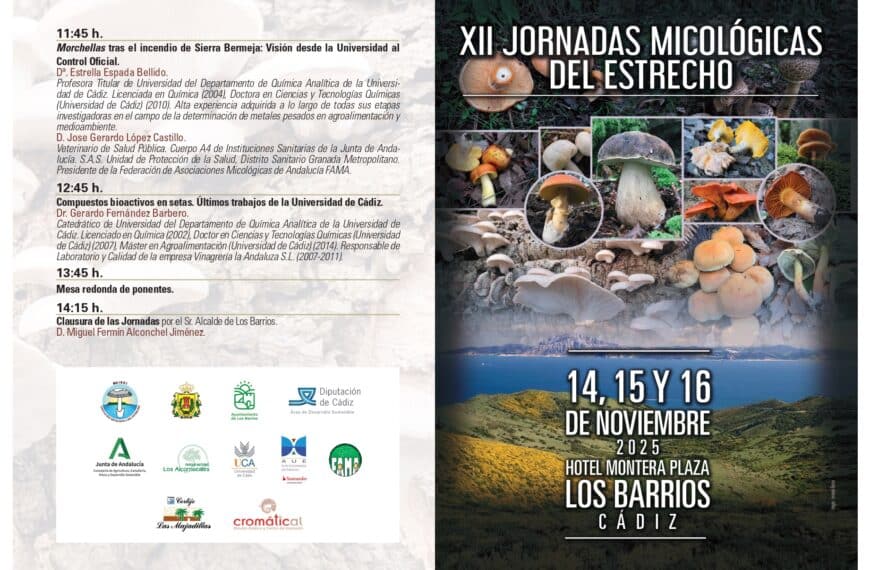 DÍPTICO JORNADAS 2025 AAFF_page-0001