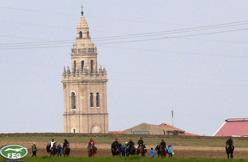 Nava del Rey Será Sede de la Fase Final del Campeonato Nacional de Galgos