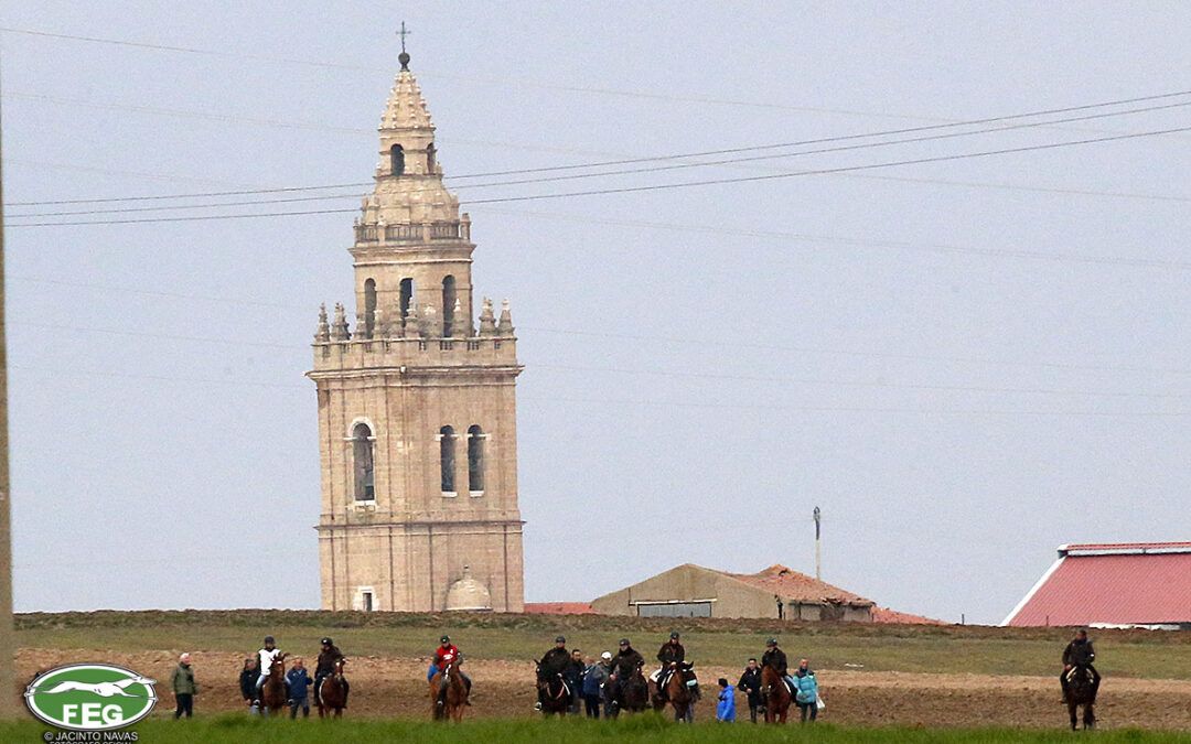 Nava del Rey Será Sede de la Fase Final del Campeonato Nacional de Galgos 1 Nava del Rey Será Sede de la Fase Final del Campeonato Nacional de Galgos