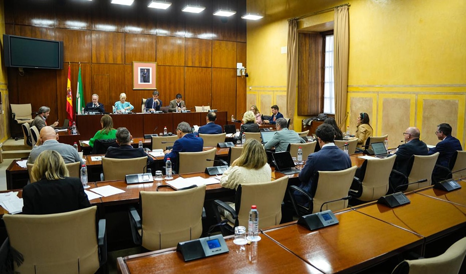 Nueva convocatoria de ayudas para financiar investigaciones en patrimonio arqueológico