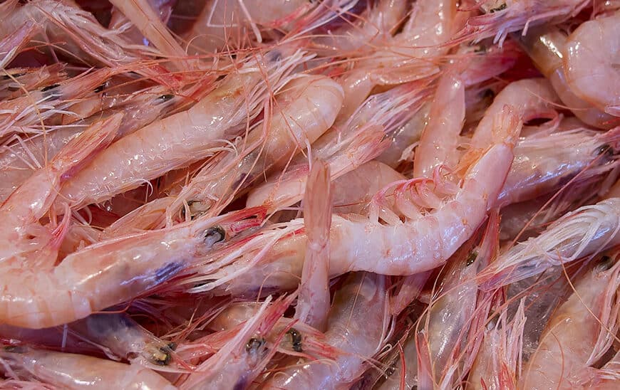 Nuevas Ayudas Convocadas por la Junta para Potenciar el Valor Añadido de los Productos Pesqueros