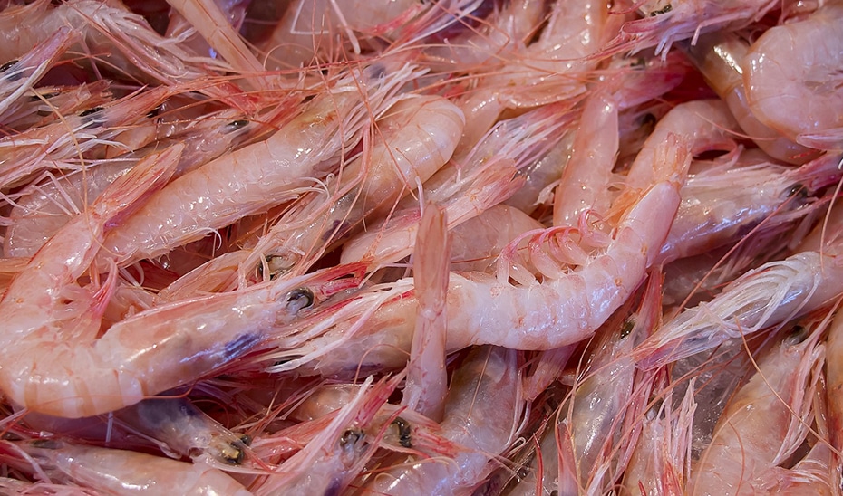 Nuevas Ayudas Convocadas por la Junta para Potenciar el Valor Añadido de los Productos Pesqueros