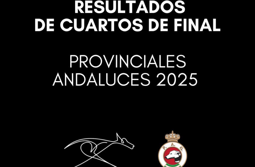 Resultados de los Cuartos de Final de los Provinciales Andaluzos 2025