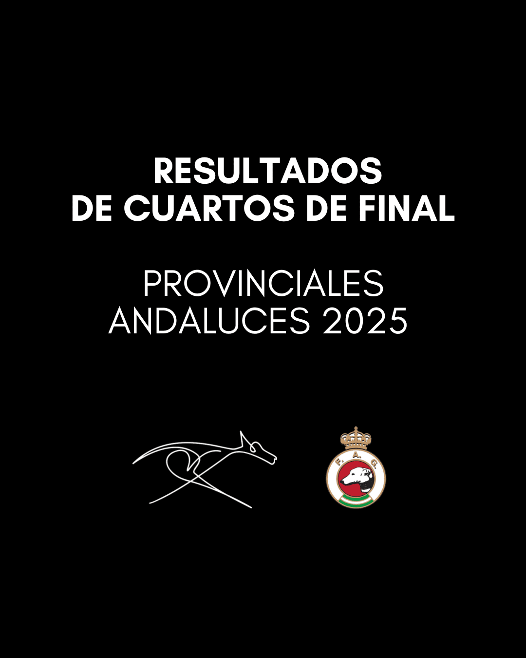 Resultados de los Cuartos de Final de los Provinciales Andaluzos 2025