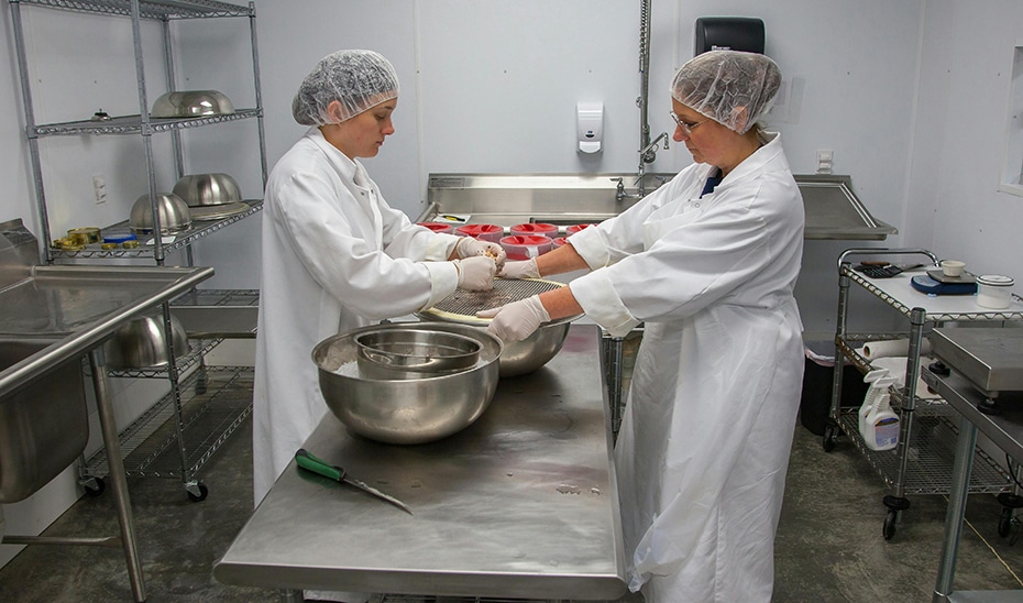 "T-Acompañamos" Facilita Empleo a 22,000 Personas de Colectivos Vulnerables en una Nueva Edición