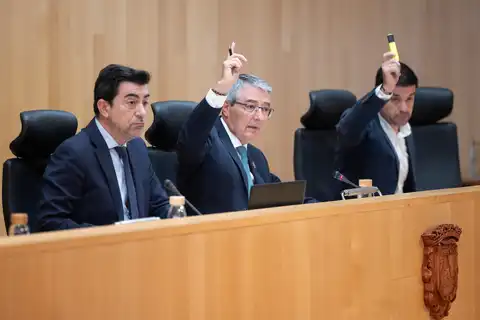 19112025 Pleno Diputacion 8