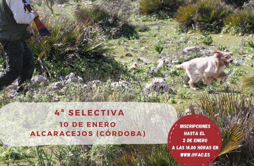 Abiertas las Inscripciones para la 4ª Selectiva del Campeonato de Andalucía de San Huberto – Federación Andaluza de Caza