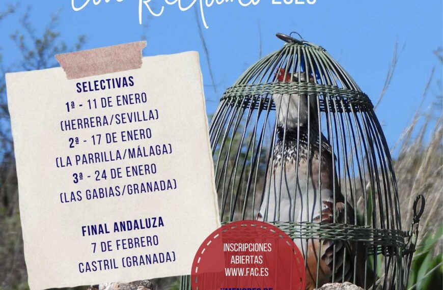 Abiertas las Inscripciones para las Selectivas de la Copa de Andalucía de Perdiz con Reclamo 2026 – Federación Andaluza de Caza