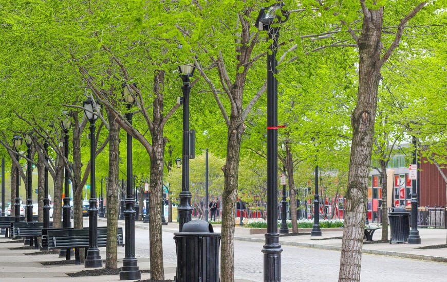 Andalucía Destina Cinco Millones en Subvenciones Municipales para Combatir el Cambio Climático